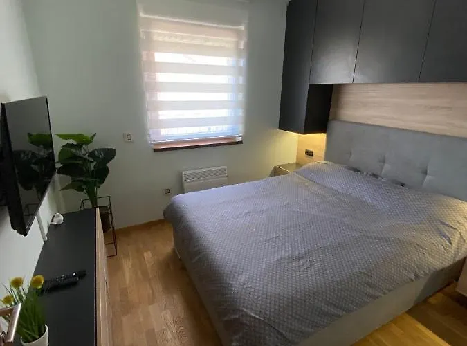 Daire Pinora, Bazen&spa Zlatibor